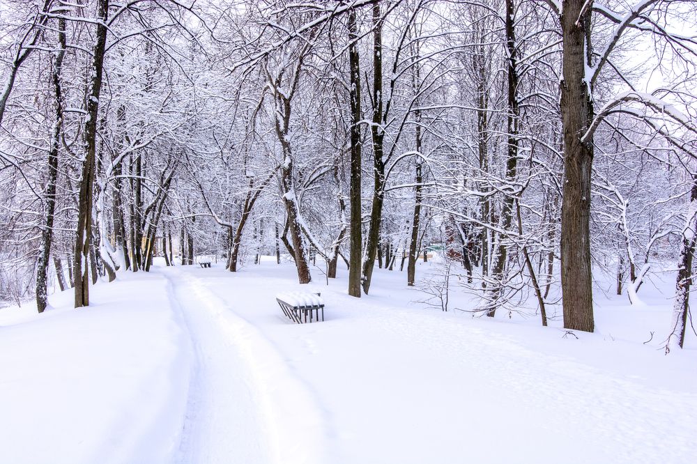 Зимнее настроение