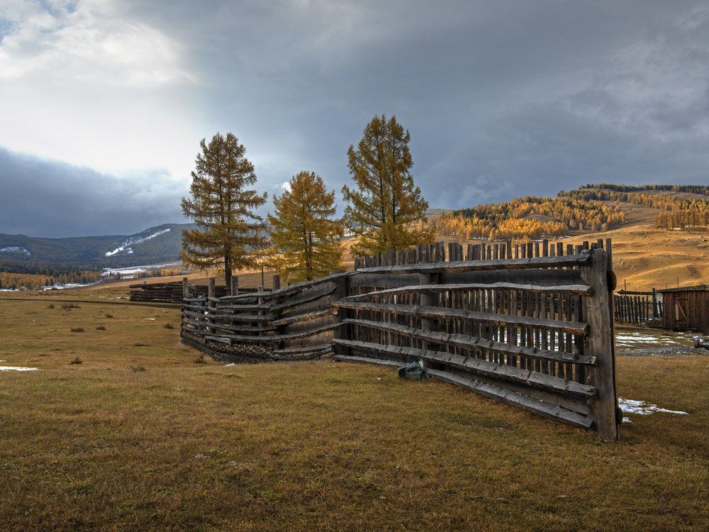 Алтай, на Улаганском плато осень
