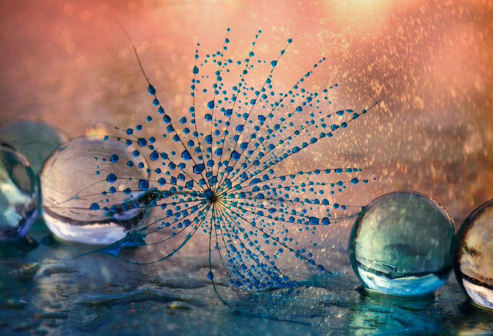 Photograph by Таня  Маркова