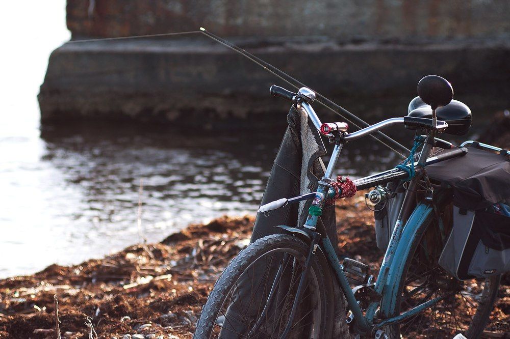 Photograph by Виктория