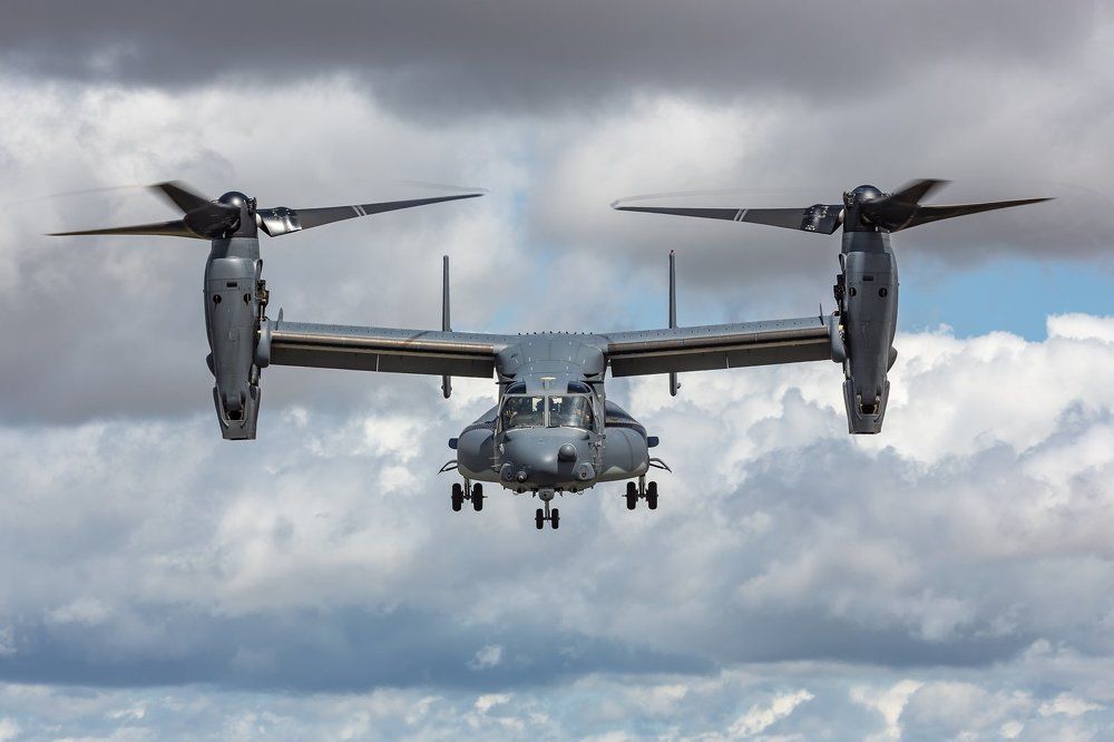 Face to face with Ospray