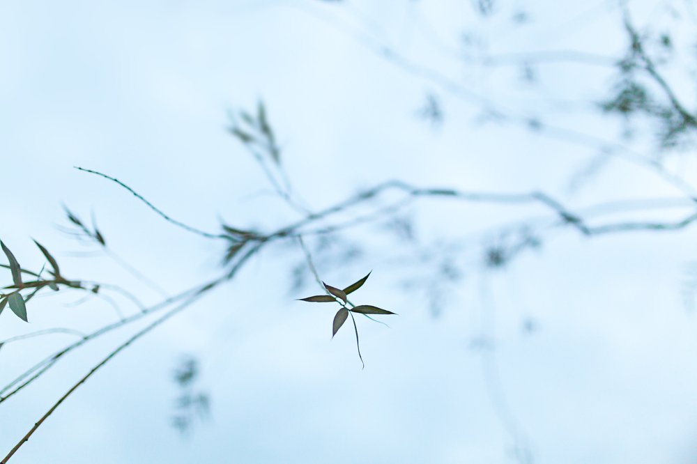 Photograph by Артём Будник