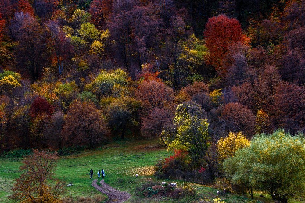 Photograph by Rafael Manukyan