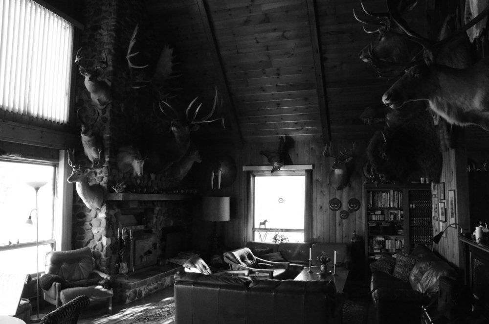 The hunter room