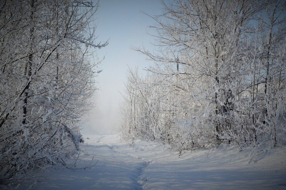 Морозный полдень.