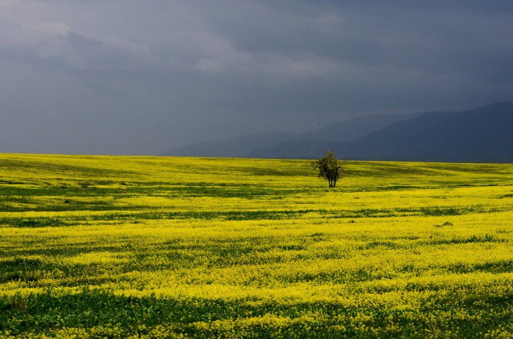 Один в поле не воин