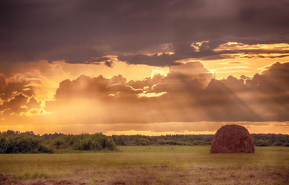 Пора сенокосная