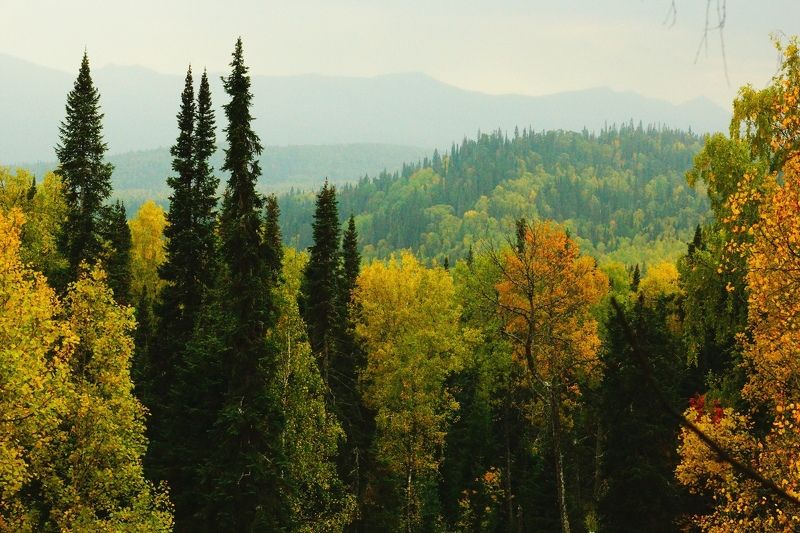 Igor Kravtsov, Russia
