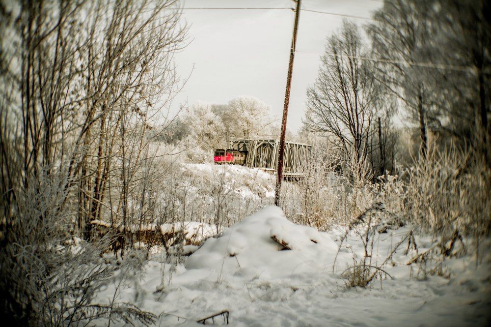 Photograph by Мари
