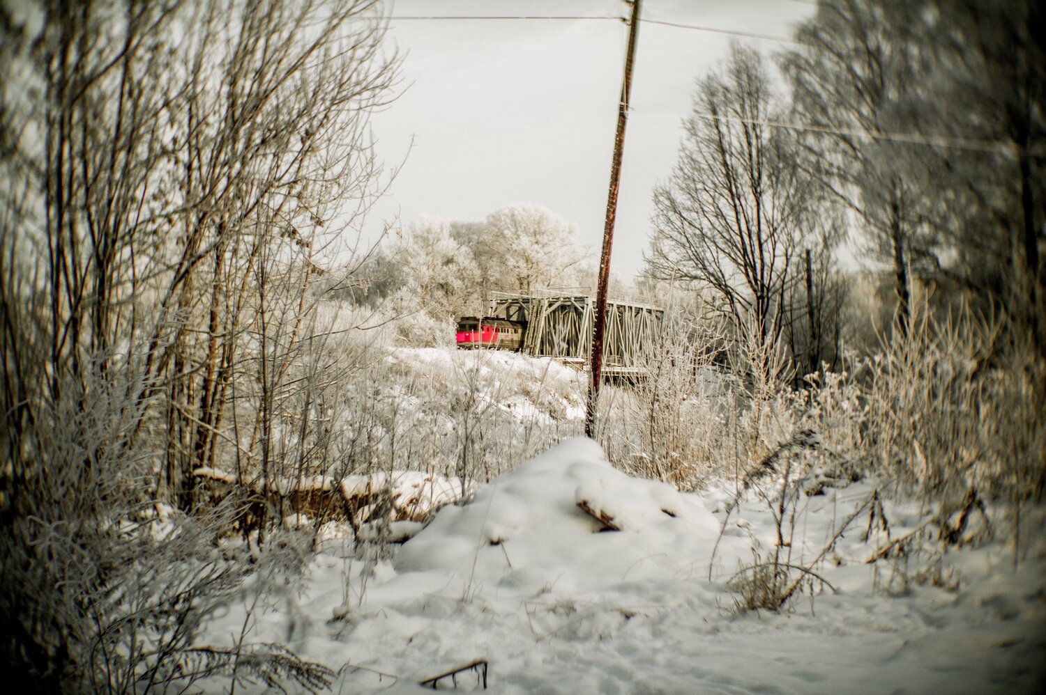 Photo #1179580