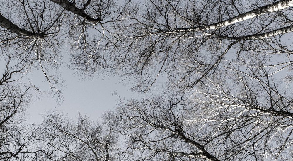 Photograph by Валерий