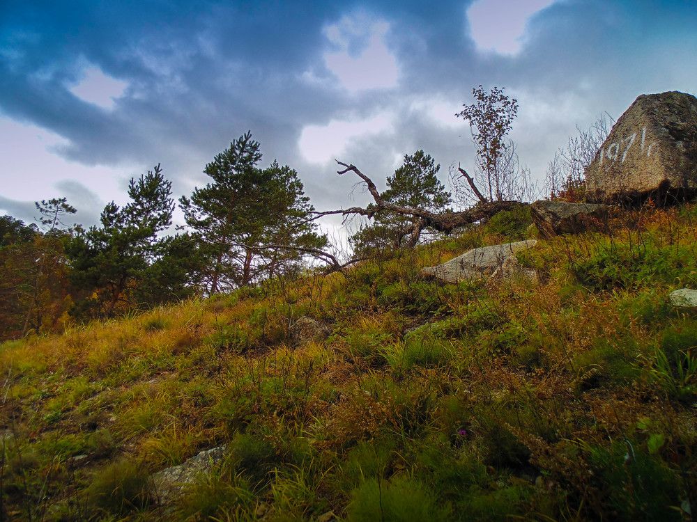 Photograph by Ульяна