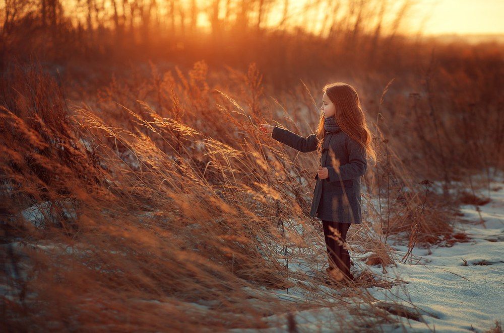 Уютное полотно заката