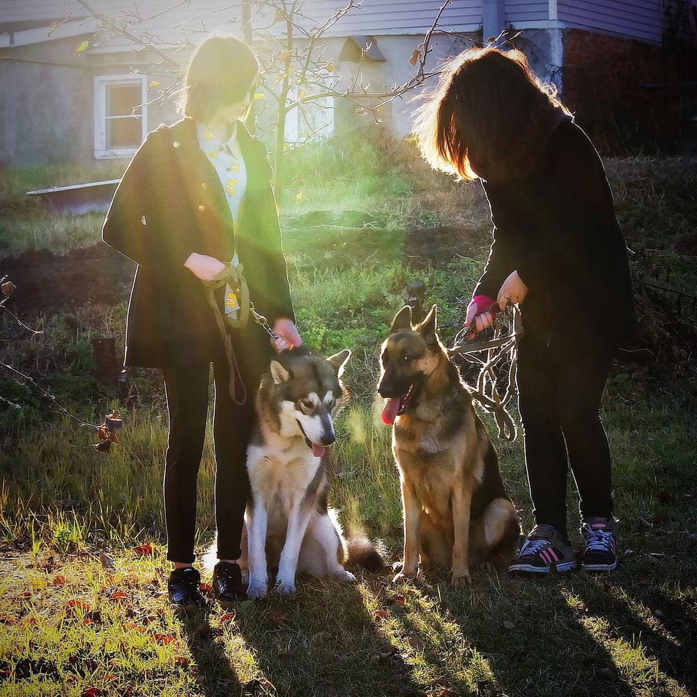 послушно-непокорные