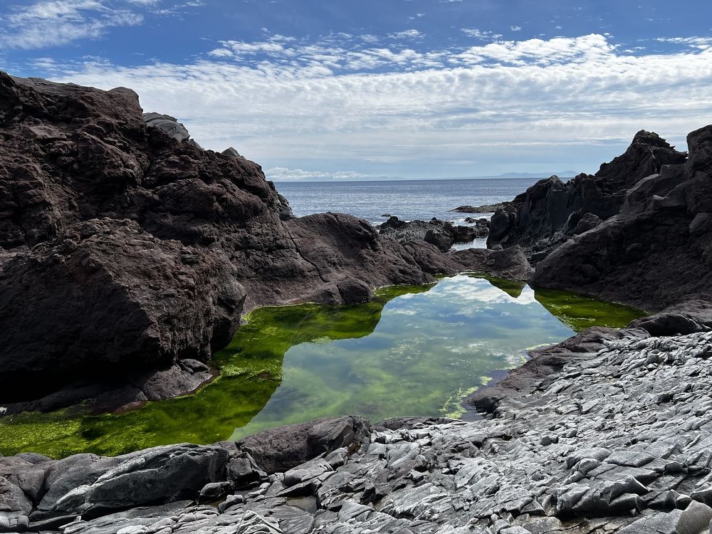 Photograph by Ольга Гущина