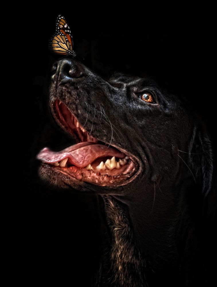 Photograph by Oscar Moncho