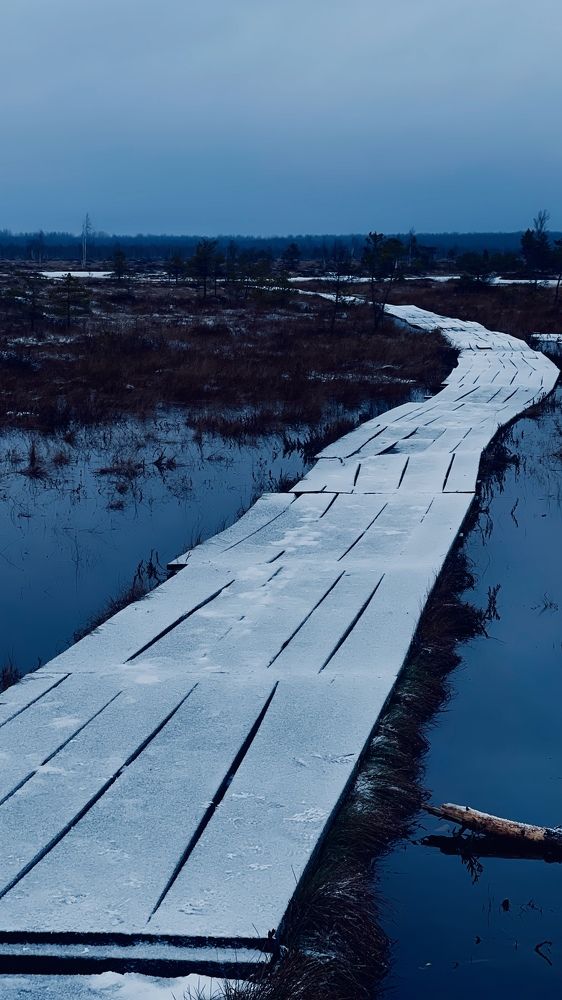 Photograph by Максим Азарчик