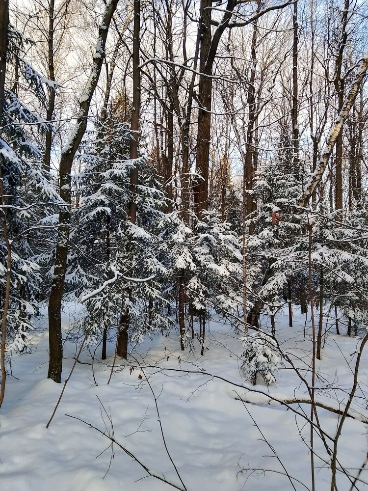 Photograph by ирина