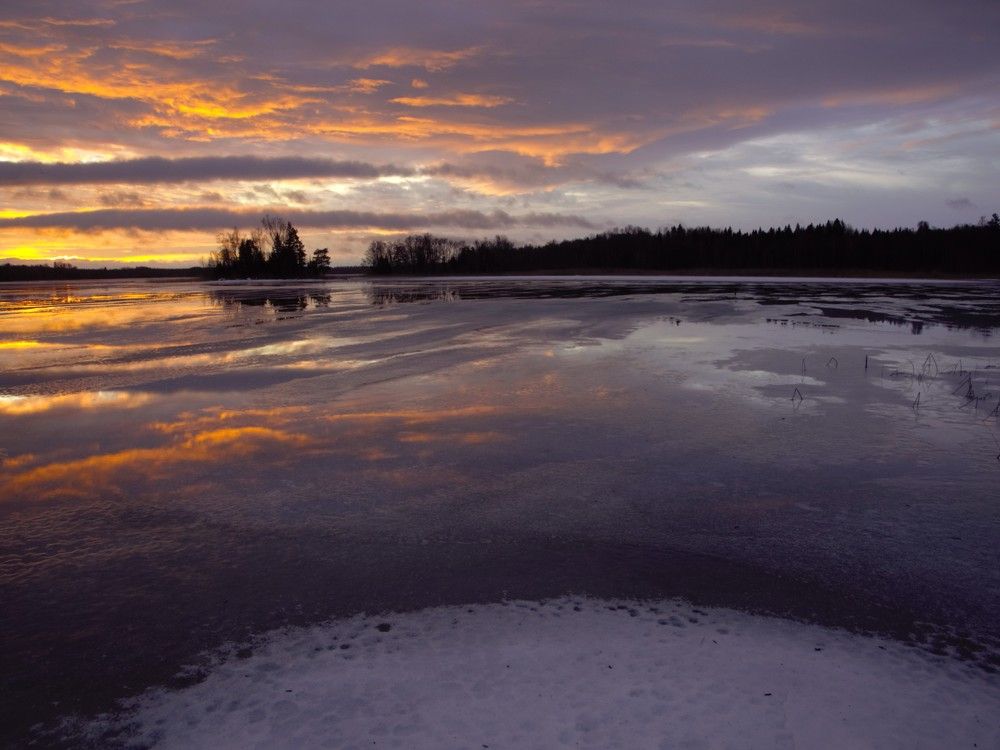 Photograph by Liudmila Drake