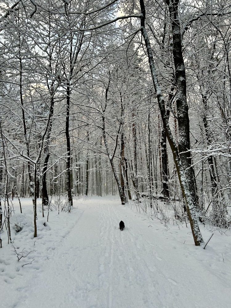 Photograph by Татьяна Третьякова