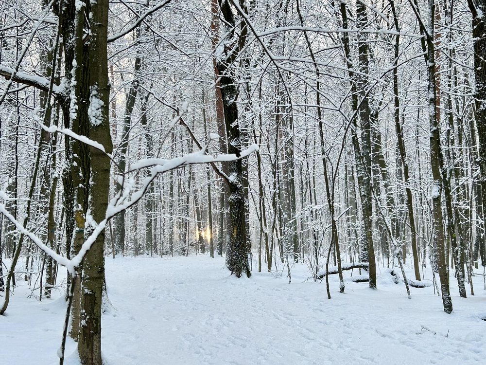 Photograph by Татьяна Третьякова