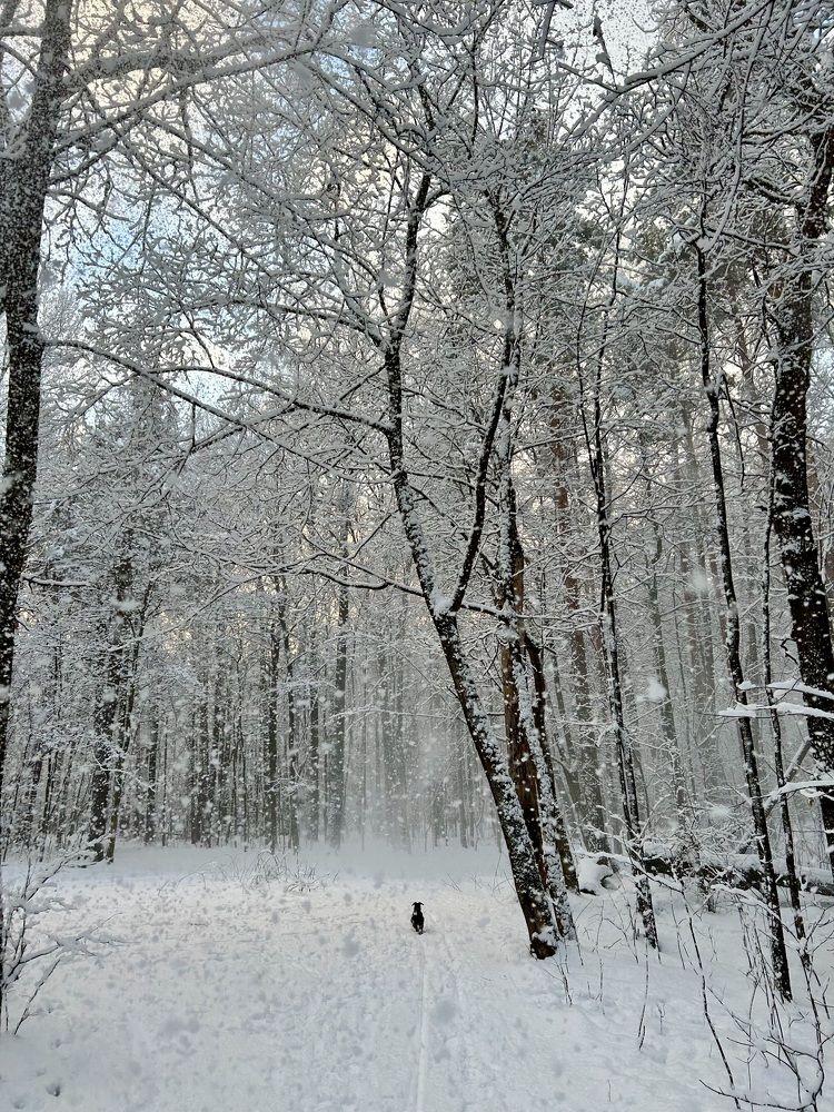 Photograph by Татьяна Третьякова