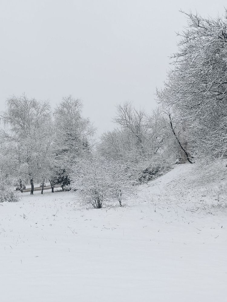 Photograph by Виктория Дудкина