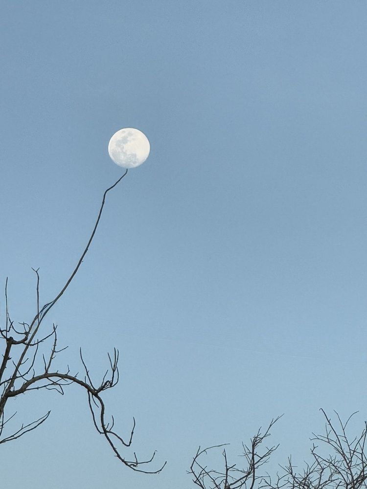 Фотография автора ГУЗАЛИЯ ГАНИЕВА