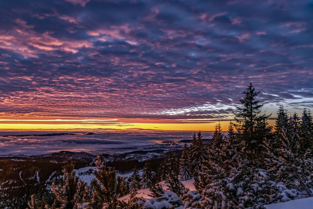 Photograph by Grzegorz Truchanowicz