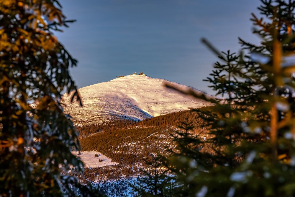 Photograph by Grzegorz Truchanowicz