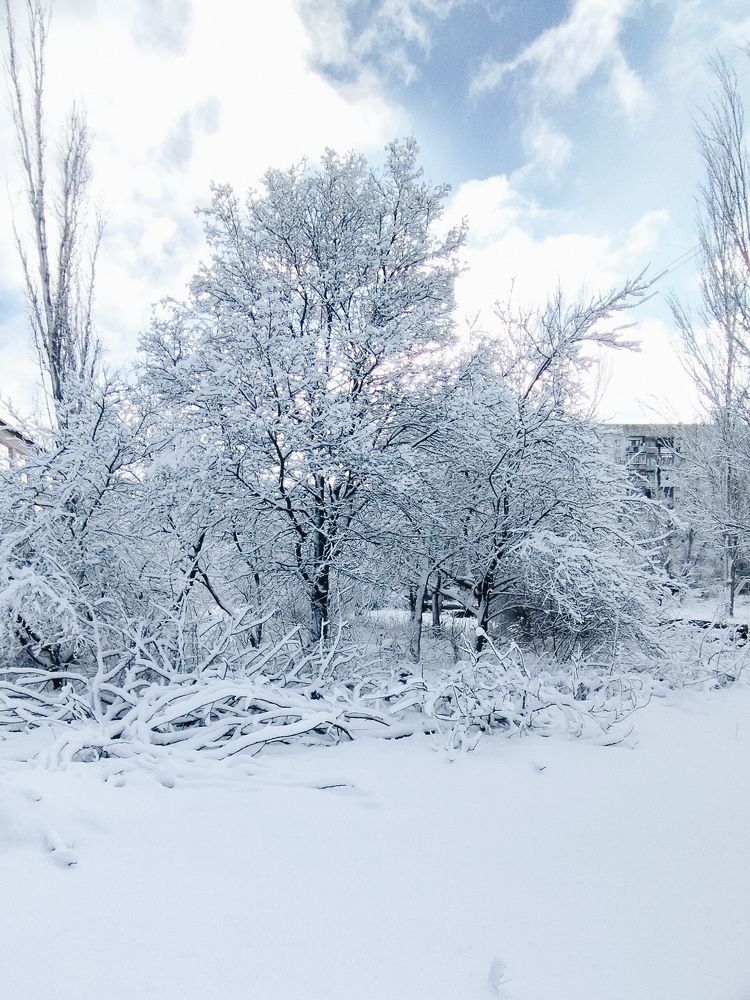 Photograph by Виктория Дудкина