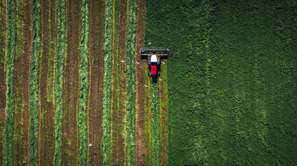 Photograph by Александр Давидик