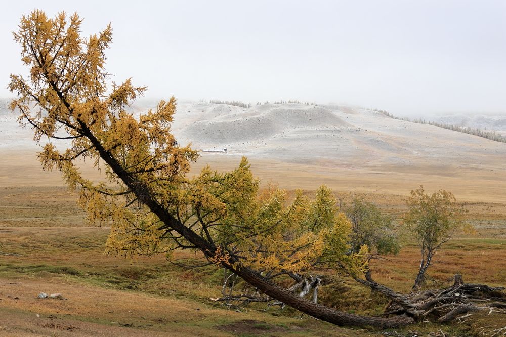 Photograph by Олег Степанов