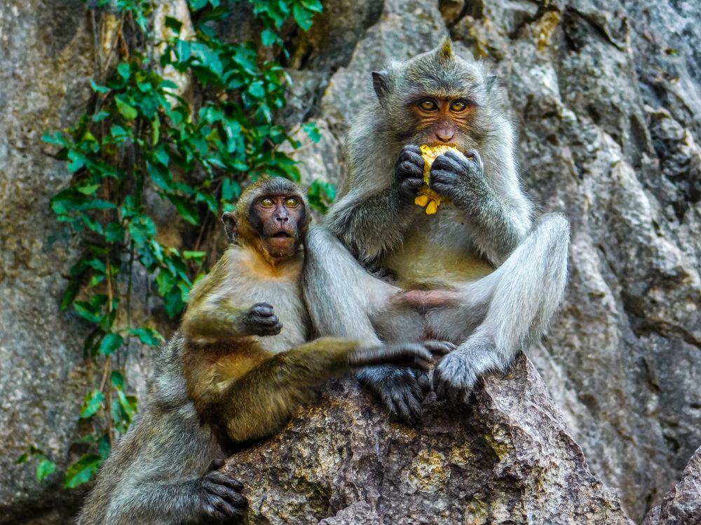 Photograph by Ivan Schaievitch