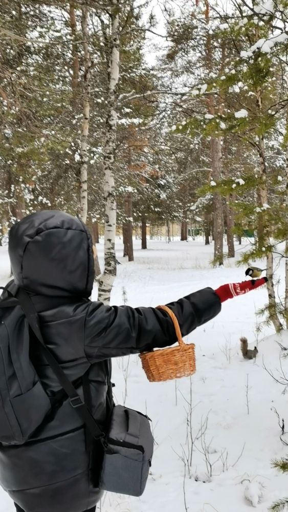 Photograph by Анастасия