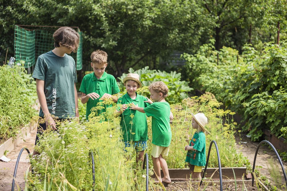 Photograph by Ольга Сорокина