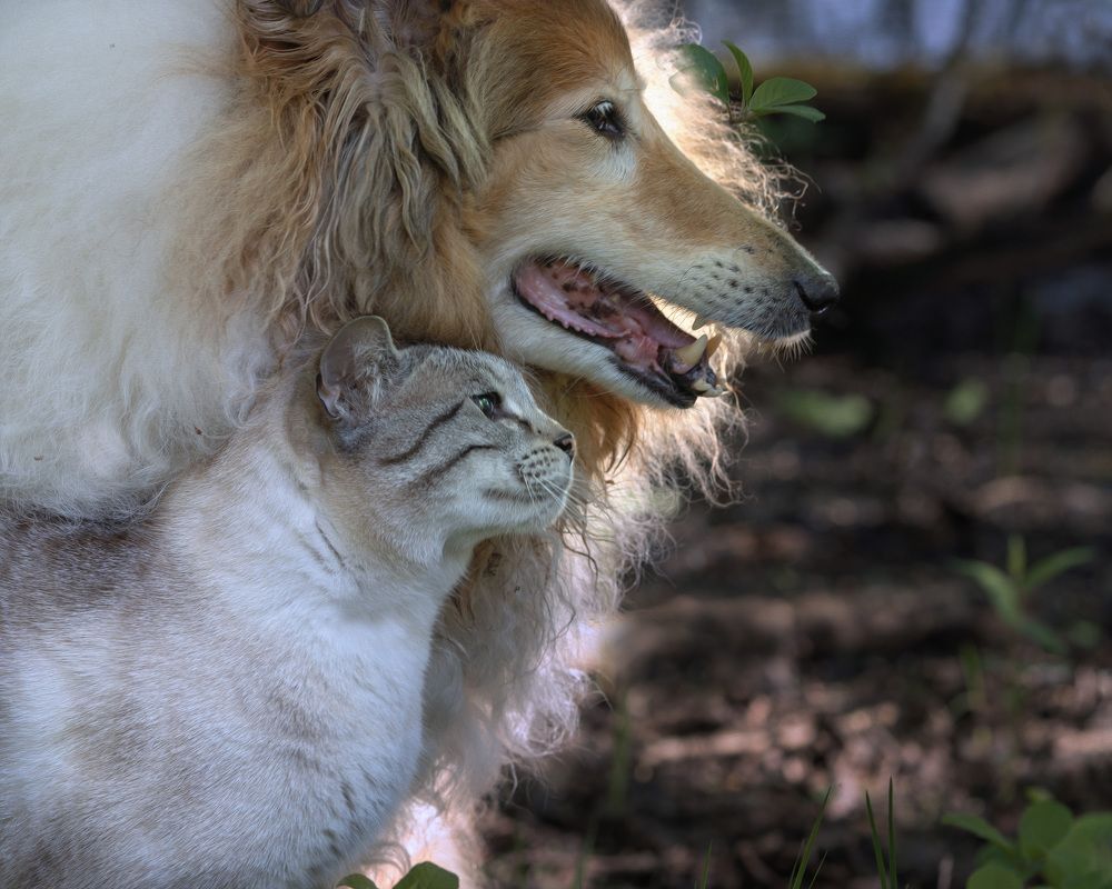 Photograph by LYUDMYLA POKRYSHEN