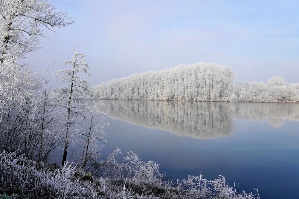 Фотография автора Liudmila Kiermeier