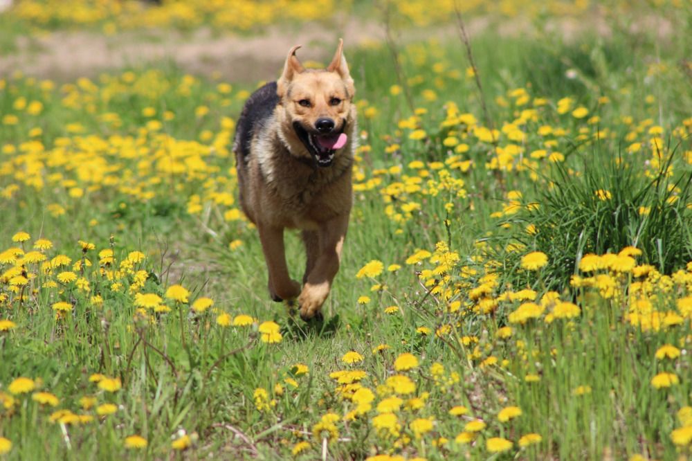 Photograph by Игорь Лузин