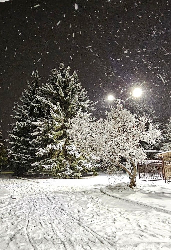 Photograph by Людмила Локтионова