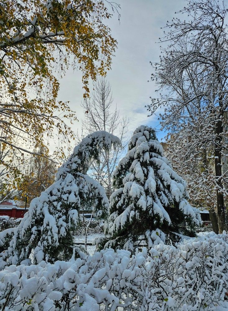 Photograph by Людмила Локтионова