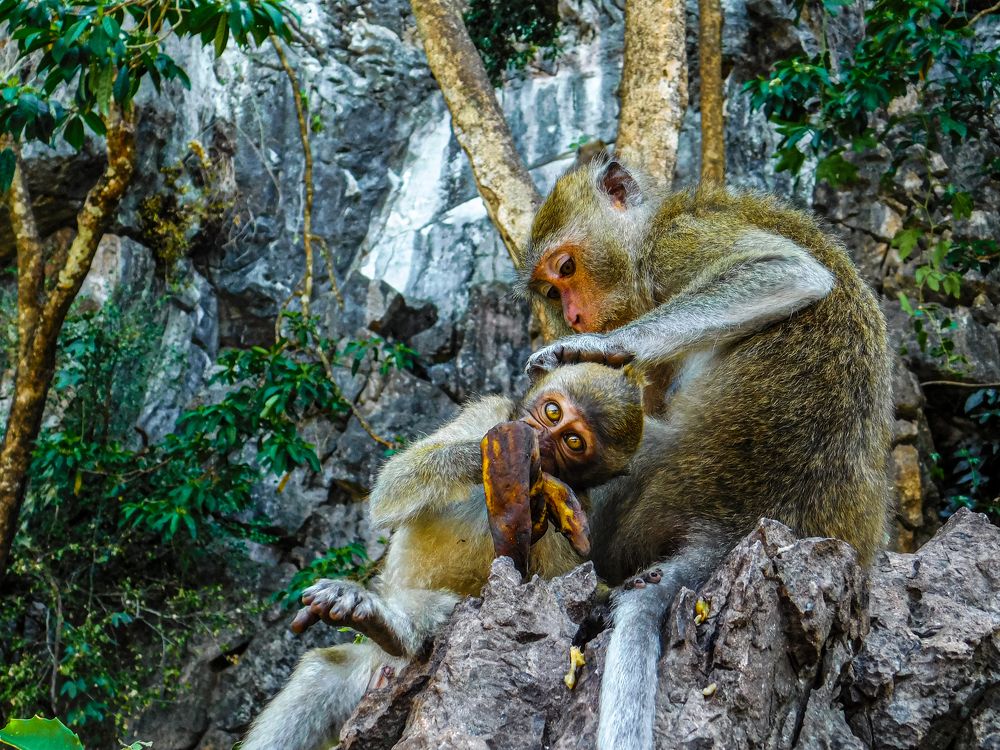 Photograph by Ivan Schaievitch