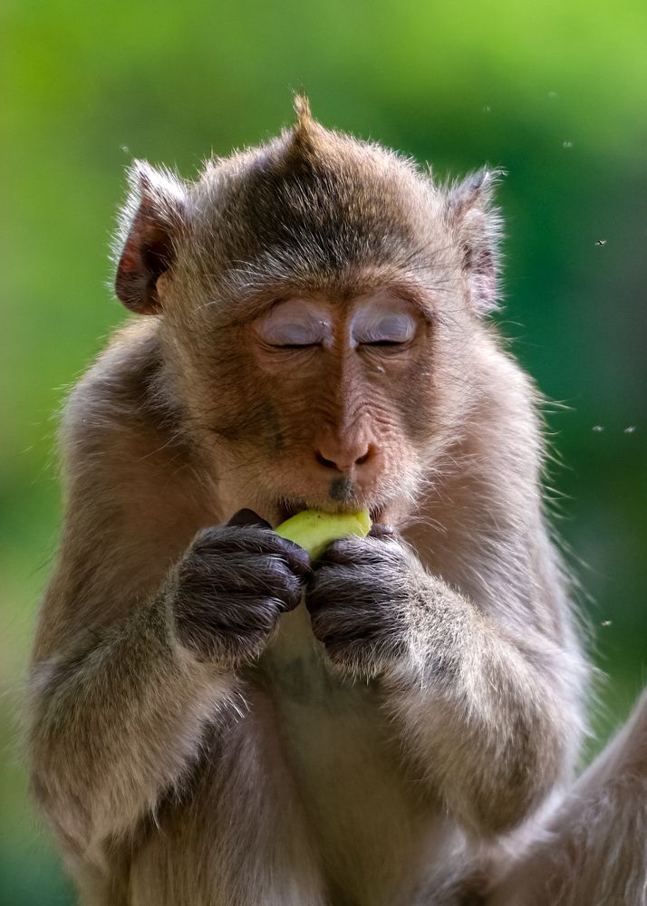 Photograph by Михаил