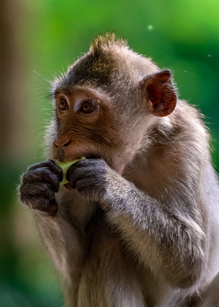 Photograph by Михаил