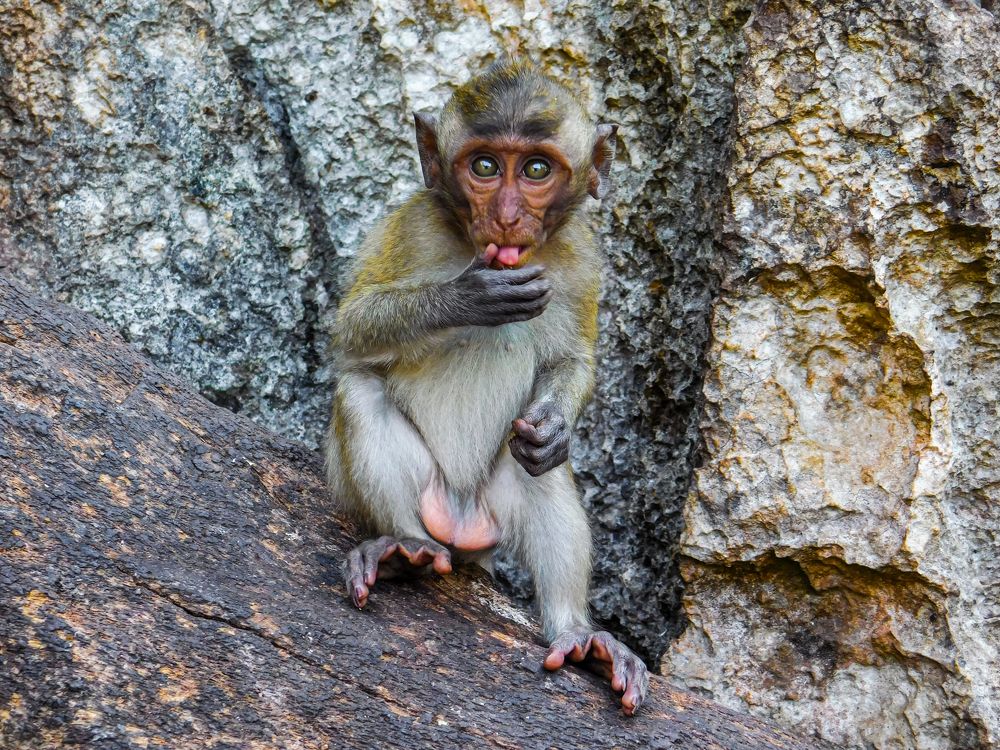 Photograph by Ivan Schaievitch