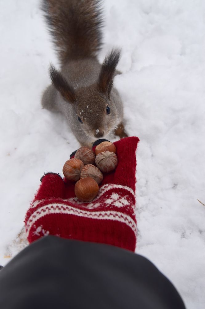 Photograph by Анастасия