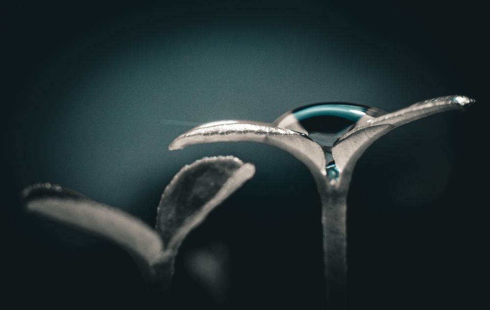 Photograph by Денис Блохов