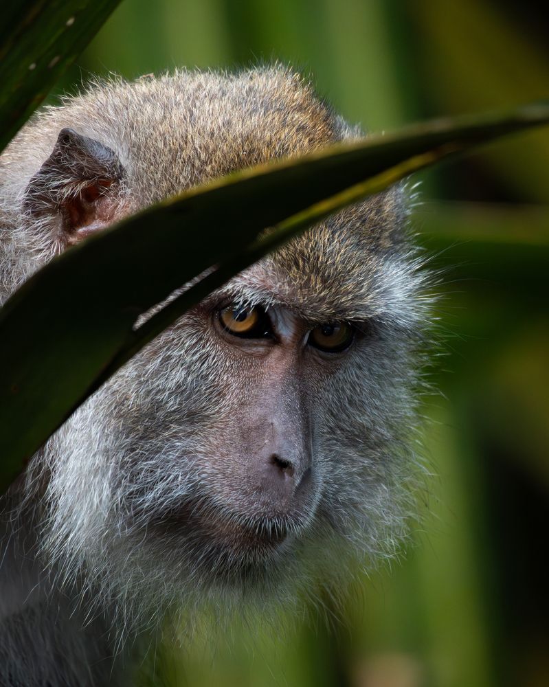 Photograph by Diego Parra Bonilla