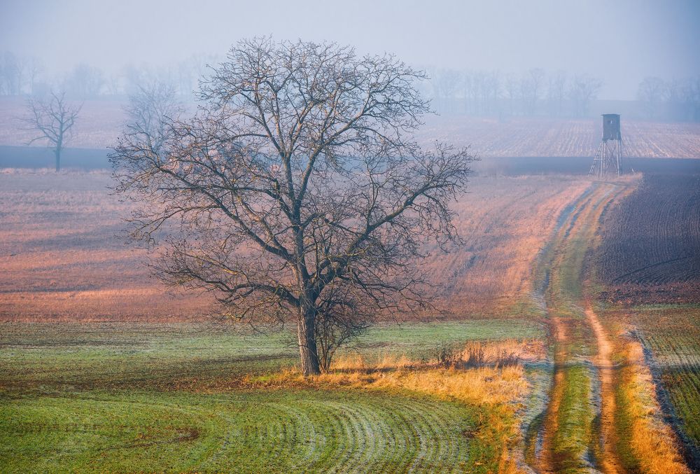 Photograph by Ожерельев Андрей