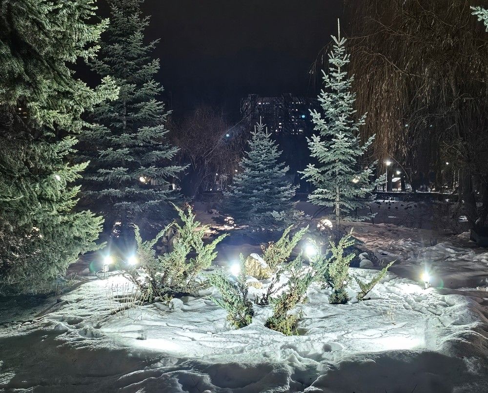 Photograph by Людмила Локтионова